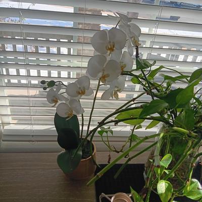 A LIVE PLANT, FAUX ORCHID AND 2 METAL CANDLE HOLDERS