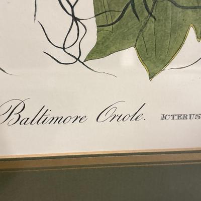 Sale Photo Thumbnail #610: 29x34. Has planned numbered and seal present