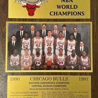 Chicago Bulls Plaque 