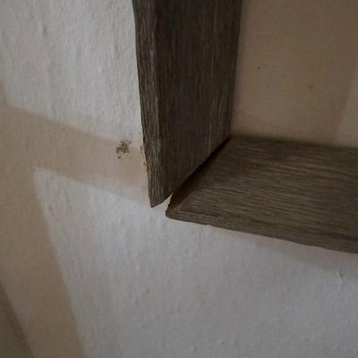 'Seagulls' by Alec Cowan Pencil Signed Wood Block Print (LR-JS)