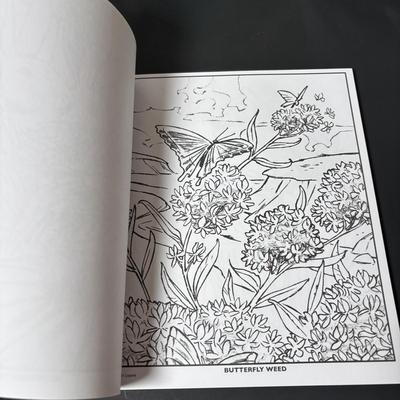 LOT 112: Art Supplies: Crayons, Colored Pencils, Paint Brushes, Coloring Book & More