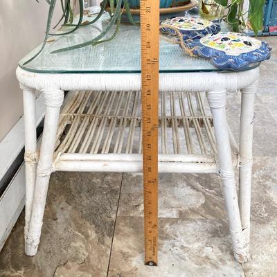 LOT 199: Wicker Accent / Patio Table with Live Aloe Plant, Pottery Fish and More