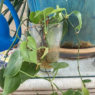 LOT 199: Wicker Accent / Patio Table with Live Aloe Plant, Pottery Fish and More