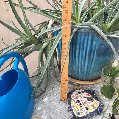 LOT 199: Wicker Accent / Patio Table with Live Aloe Plant, Pottery Fish and More