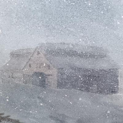 LOT 220: Vintage Kosta Huff Glass Polar Bear with Signed and Numbered Doris Crusenberry Print