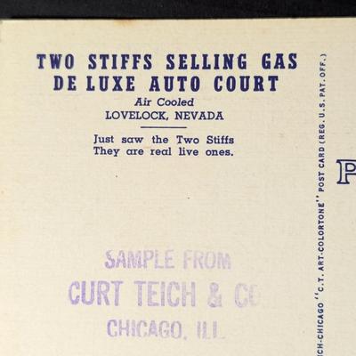 Sample Postcards From Curt Teich & Co. Chicago ILL