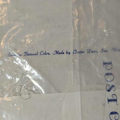 Sample Postcards From Curt Teich & Co. Chicago ILL