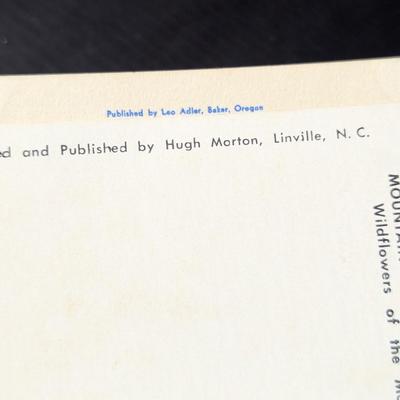 Sample Postcards From Curt Teich & Co. Chicago ILL