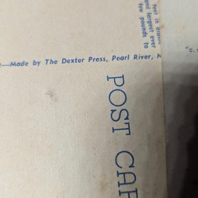 Vintage Landmark Postcards