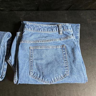 Two pair of Women's Jeans Size 16W - Lee & Appleseed