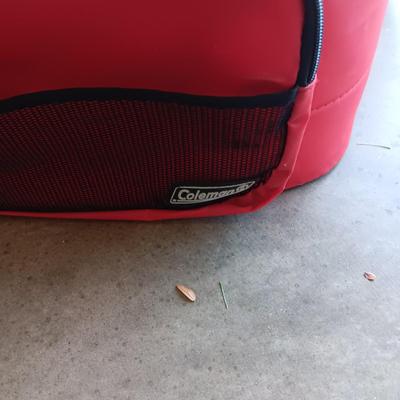 COLEMAN SOFT SIDED COOLER AND A BOX FAN