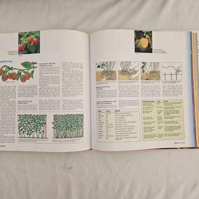 Collection of Audubon Society Field Guides, Gardening Books & Binoculars (LR-JS)