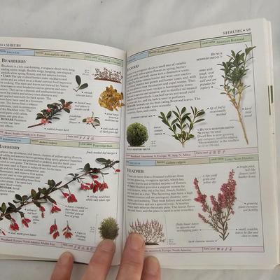 Collection of Audubon Society Field Guides, Gardening Books & Binoculars (LR-JS)