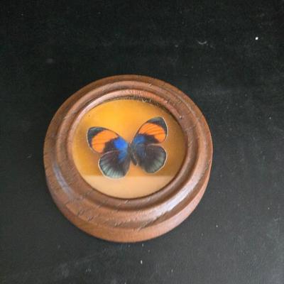 Home decor - large, corked jar - candle holders - and a framed specimen of an Asterope Sapphira butterfly