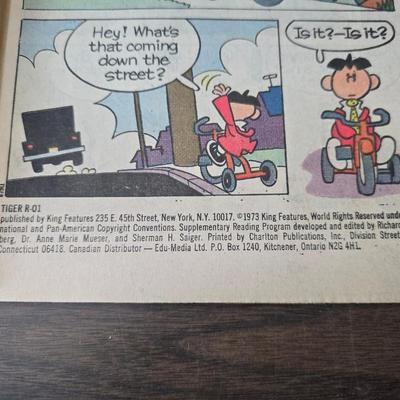 Collection of comic books - Spider man - Tiger - Lalo - Tim Tyler and Price Valiant