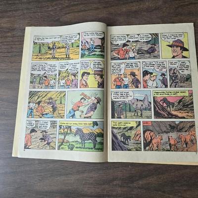 Collection of comic books - Spider man - Tiger - Lalo - Tim Tyler and Price Valiant