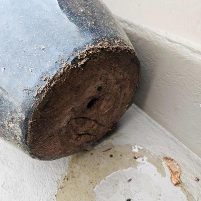 Pair of Black Glazed Terra Cotta Planters (FP-JS)