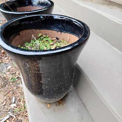 Pair of Black Glazed Terra Cotta Planters (FP-JS)