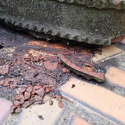 Selection of Terra Cotta & Concrete Pots & Planters (FP-JS)