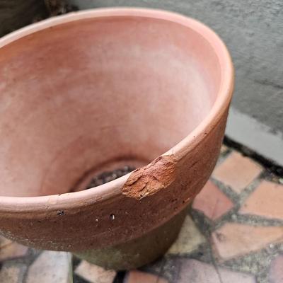 Selection of Terra Cotta & Concrete Pots & Planters (FP-JS)