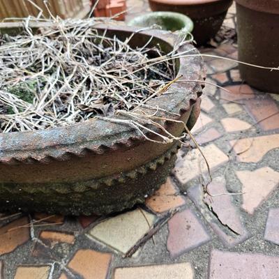 Selection of Terra Cotta & Concrete Pots & Planters (FP-JS)