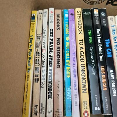 Boxes of softcover books - all different genres -