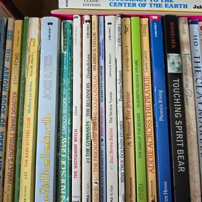 Kids chapter books - Harry Potter - My America series - The outsiders - and other great titles