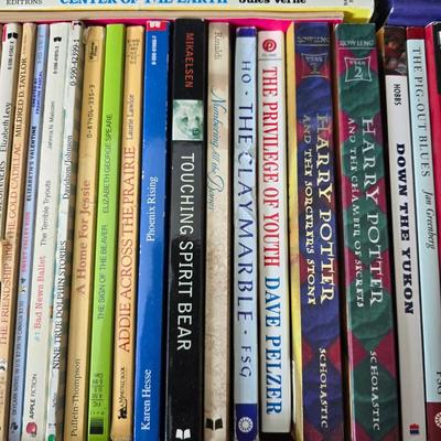 Kids chapter books - Harry Potter - My America series - The outsiders - and other great titles