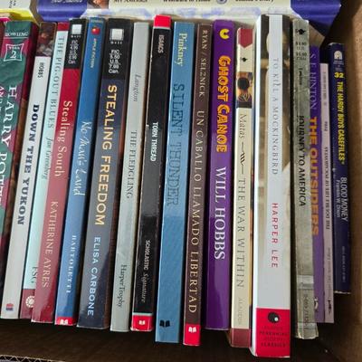 Kids chapter books - Harry Potter - My America series - The outsiders - and other great titles