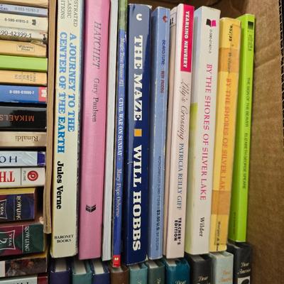 Kids chapter books - Harry Potter - My America series - The outsiders - and other great titles