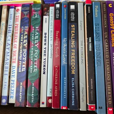 Kids chapter books - Harry Potter - My America series - The outsiders - and other great titles