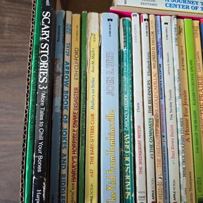 Kids chapter books - Harry Potter - My America series - The outsiders - and other great titles