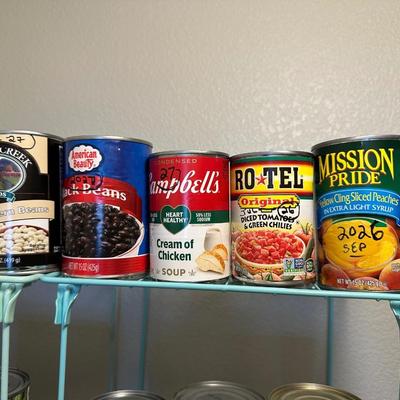 CANNED FRUIT/VEGGIES, SALMON AND MORE