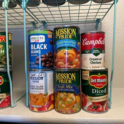 CANNED SALMON, VEGGIES, FRUIT AND MORE