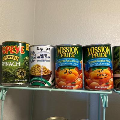 CANNED BEEF, SALMON, VEGGIES AND MORE