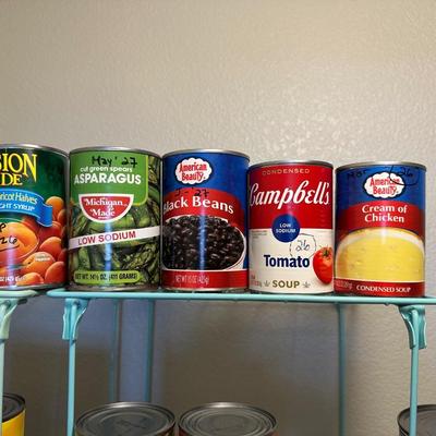 CANNED BEEF, SALMON, VEGGIES AND MORE