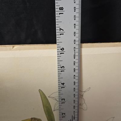 Two vintage prints featuring the "Daffodils" illustration by artist Mary Lou Goertzen with matching vases and more