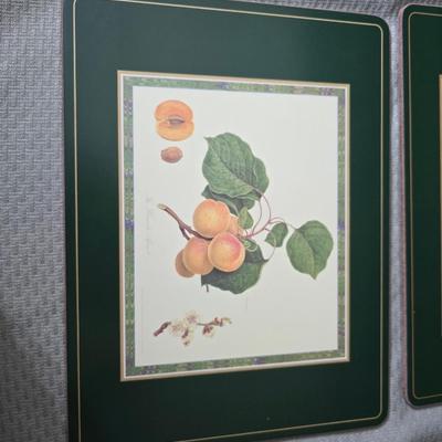 Hooker's Fruits Pimpernel cork backed placemats and matching coasters - Brass candle sticks- a tablecloth and a pottery hotplate