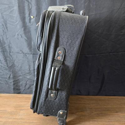 Carry-on luggage bag - with an assortment of other garment / luggage packing bags Eagle creek - Jaguar