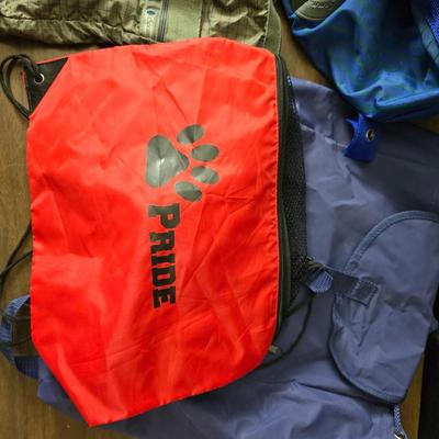 Overnight and fast trip bags - backpack - smaller bags for organizing