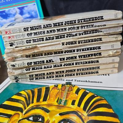 Collection of teacher guides, History, Books with more than 1 copy, posters, and other things teachers can use