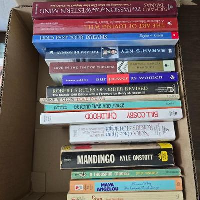 Boxes of softback books of different genres - Anne Frank - and more