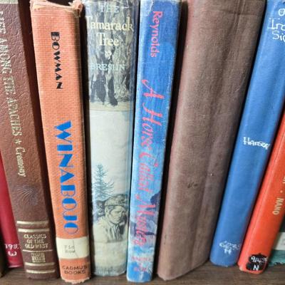 Vintage books - mostly stories - Life among the Apache - Riddles of many lands - Winabojo - Tamarack Tree and other great stories