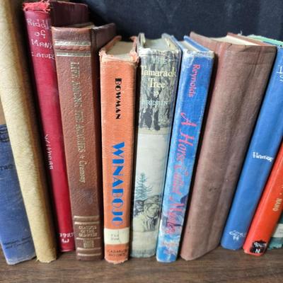 Vintage books - mostly stories - Life among the Apache - Riddles of many lands - Winabojo - Tamarack Tree and other great stories
