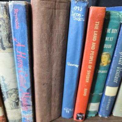 Vintage books - mostly stories - Life among the Apache - Riddles of many lands - Winabojo - Tamarack Tree and other great stories