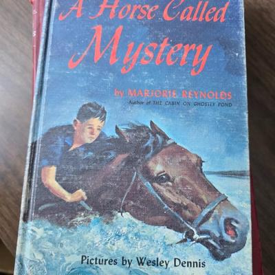 Vintage books - mostly stories - Life among the Apache - Riddles of many lands - Winabojo - Tamarack Tree and other great stories