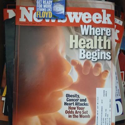 Two boxes total - Newsweek and National Geographic magazine back issues