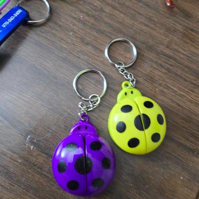 Large brass key - key hanger and a selection of keychains