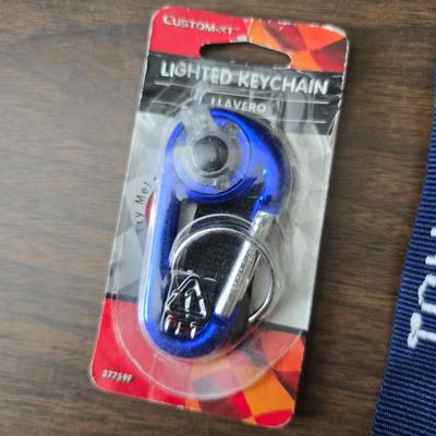 Large brass key - key hanger and a selection of keychains