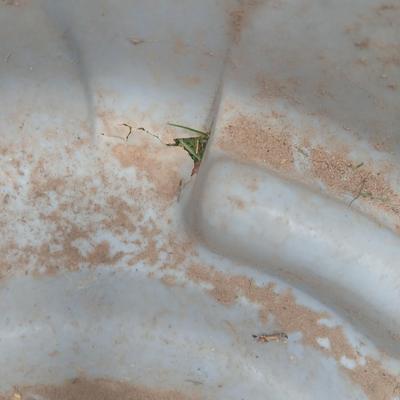 Three garbage cans 2 with lids